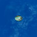 Thumbnail for version as of 01:35, 22 April 2025