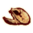 OB-icon-armor-BloodwormHelm.png