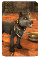 ON-card-Companion's Wolf Pup.png