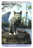 ON-card-Senchal Striped Cat.png