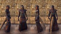 ON-item-armor-Argonian Light Robe 3 Male.jpg