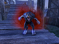 ON-quest-Wolves in the Fold 04.jpg