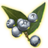 ON-icon-misc-Pure-Snow Berries of Ripeness.png