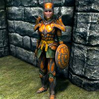 SR-item-Amber Armor Female.jpg