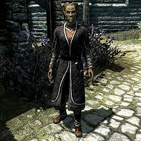 Man in fine clothes  Skyrim, Elder scrolls, Fictional characters