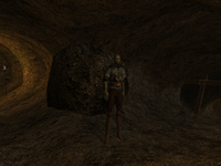 TR3-quest-Gathering Kwama Eggs.png