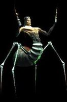 BS-creature-Spider Daedra 02.jpg