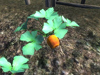 OB Flora Pumpkin Vine.jpg