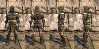 ON-item-armor-Hircine Bloodhunter Heavy Male.jpg