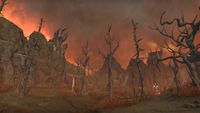 ON-place-Ashen Forest 06.jpg