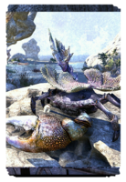 ON-card-Coral Mudcrab.png