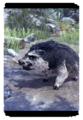 Thumbnail for version as of 19:20, 16 April 2025