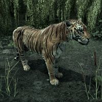 ON-creature-Tiger.jpg