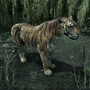 Online:Senche-Tiger (Bosmer Insight) - The Unofficial Elder Scrolls ...