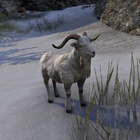 ON-creature-Timberstand Goat.jpg