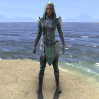ON-item-armor-Ebonshadow Light Jerkin Female.jpg