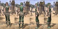 ON-item-armor-Homespun-Jerkin-Nord-Female.jpg