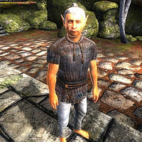 Shivering:Fimmion - The Unofficial Elder Scrolls Pages (UESP)