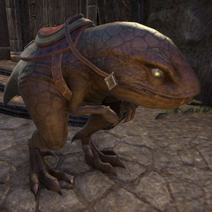 Online:guar - The Unofficial Elder Scrolls Pages (uesp)