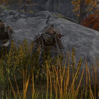 ON-npc-Bitterfish Berserker (quest).jpg