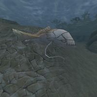 TD3-creature-Blind Slaughterfish.jpg