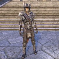 Winterborn Warrior's Costume (male)