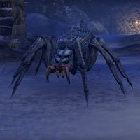 ON-creature-Frostbite Spider 03.jpg