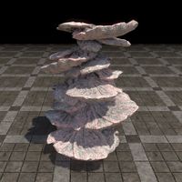 ON-furnishing-Coral Formation, Tiered Shelves.jpg