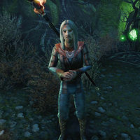 Online:Wizard Twelvane - The Unofficial Elder Scrolls Pages (UESP)