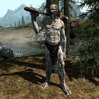 Featured image of post All Giant Camps Skyrim