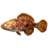 SR-icon-food-Cooked Pygmy Sunfish.png
