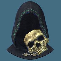 SR-item-Ascendant Necromancer Hood.jpg