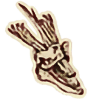 OBR-icon-misc-Shambles Skull.png