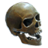 ON-icon-head-Skull.png
