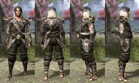ON-item-armor-Wood Elf Light Jerkin 3 Male.jpg