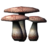 BS5-icon-ingredient-SummerBolete.png