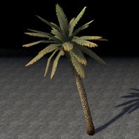 ON-furnishing-Tree, Leaning Palm.jpg