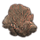 ON-icon-furnishing-Coral Formation, Fan Cluster.png