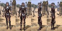 ON-item-armor-Full-leather-Breton-Female.jpg