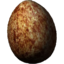 SR-icon-ingredient-Pine Thrush Egg.png