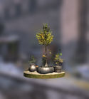 Potted Trees