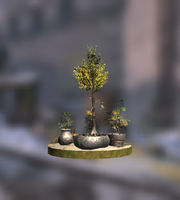 BL-decoration-Potted Trees.jpg