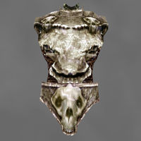 MW-item-Dragonbone cuirass.jpg