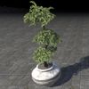ON-furnishing-Alinor Potted Plant, Triple Tiered.jpg