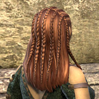 ON-hairstyle-Long Cornrows.jpg