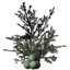 SR-icon-ingredient-Juniper Berries.png