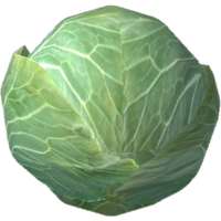 SR-icon-food-Cabbage.png