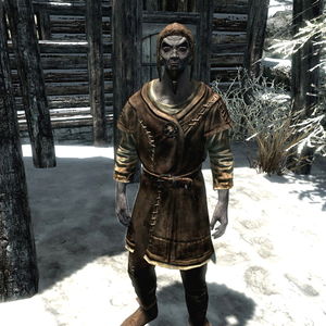 Tes5Mod:Beyond Skyrim: Cyrodiil/Tedral Mendrin - The Unofficial Elder ...