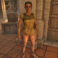 OBR-npc-Adanrel.jpg
