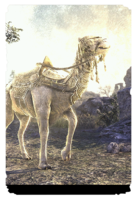 ON-card-Resplendent Sovngarde Camel.png